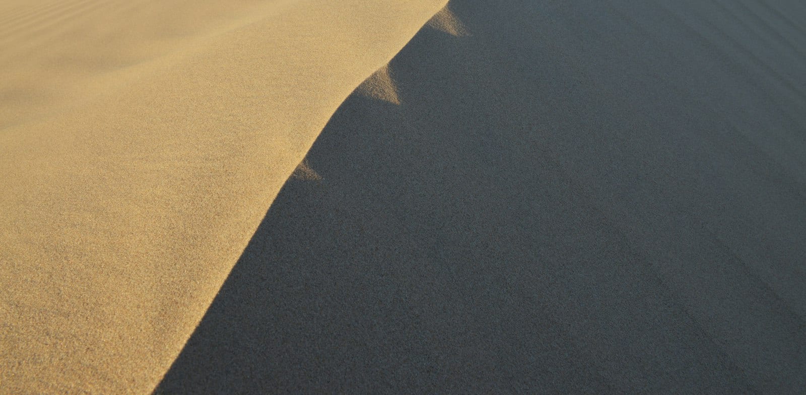 מבהיל! הוא חזר מהשמיים לעולם הזה כדיי לספר מה הכי מקפידים שם! שתפו!